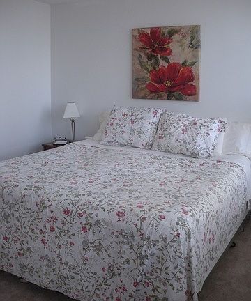 4th image of 88 W Schiller St #10