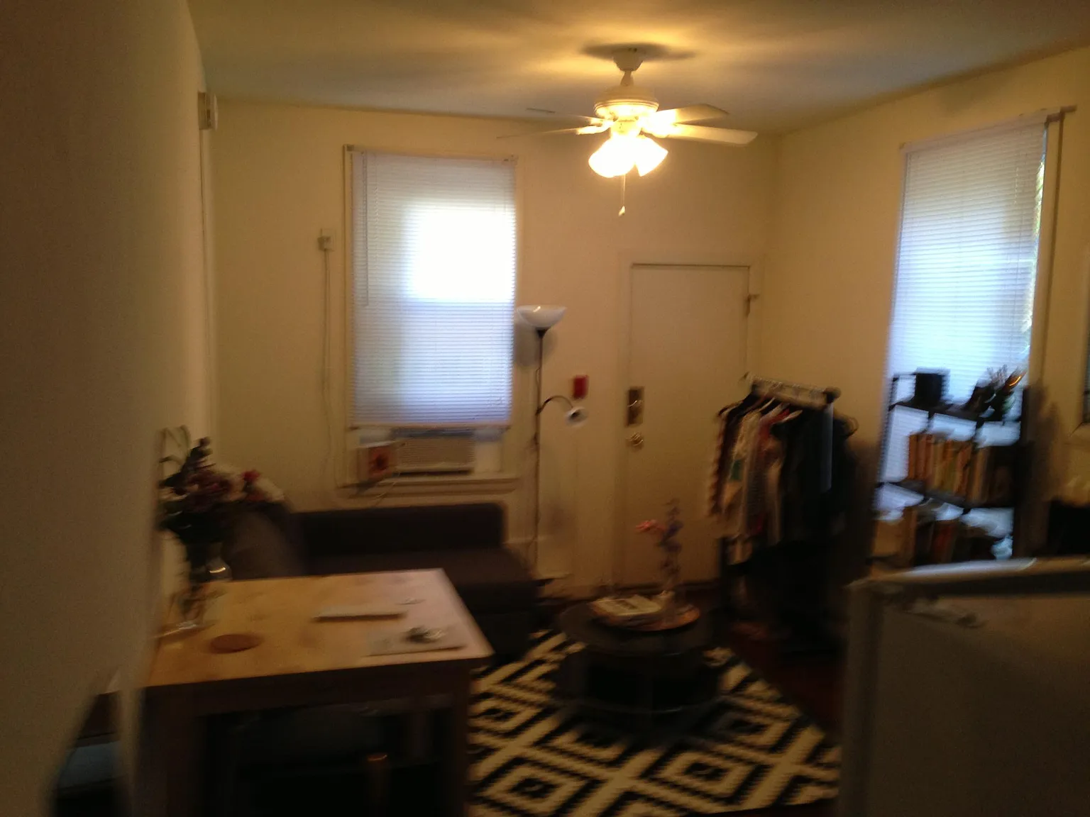 Studio, 230 sqft, $1,000 — Photo 3