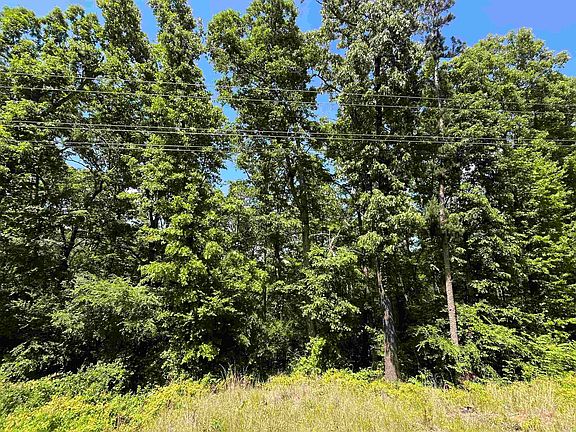 3rd image of 0 Budd Creek Rd