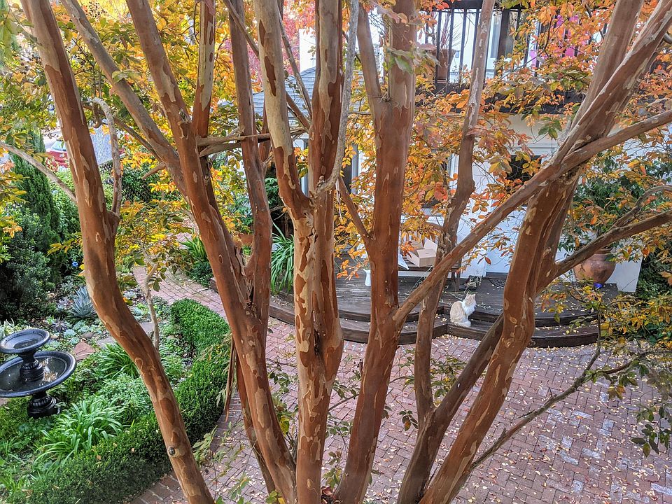 View from south-facing window