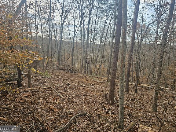 4th image of 0 Watkins Rd