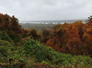 11385 River Hills Rd, Festus, MO 63028