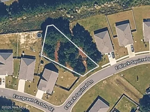 1504 E Black Squirrel Ln SE Lot 46, Bolivia, NC 28422