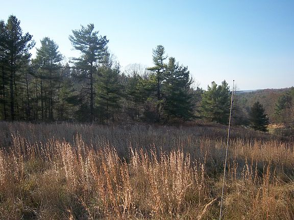 5th image of Poplar Camp Road