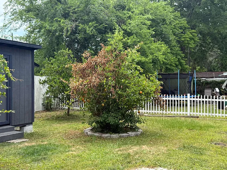 3318 Dellwood Ave — Photo 41