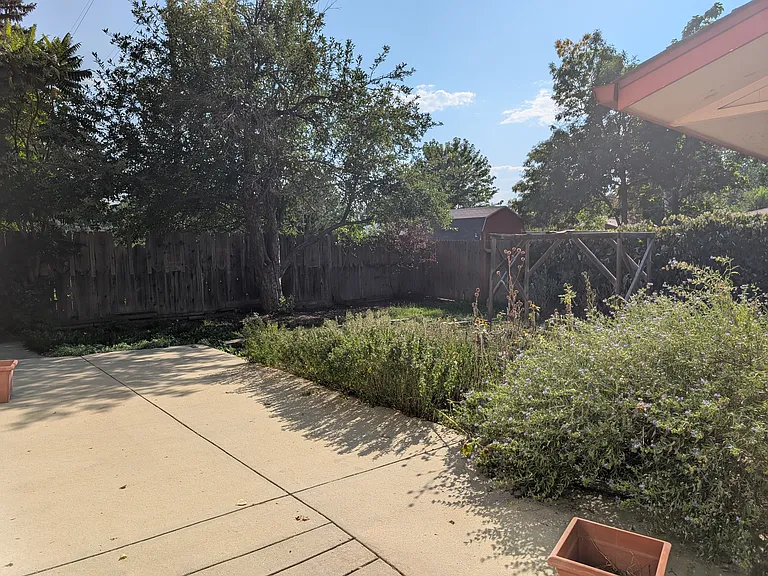 back yard with veggie garden and herbs