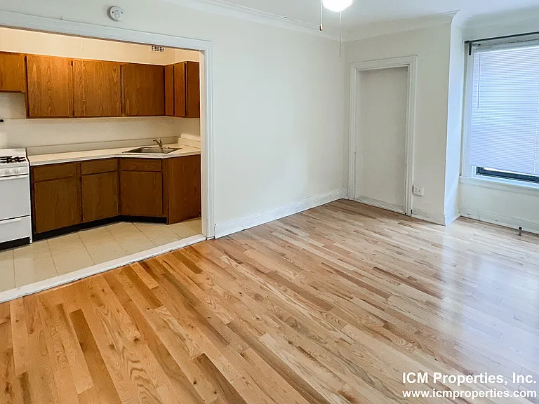 540.8 W Briar Pl #8D — Photo 4