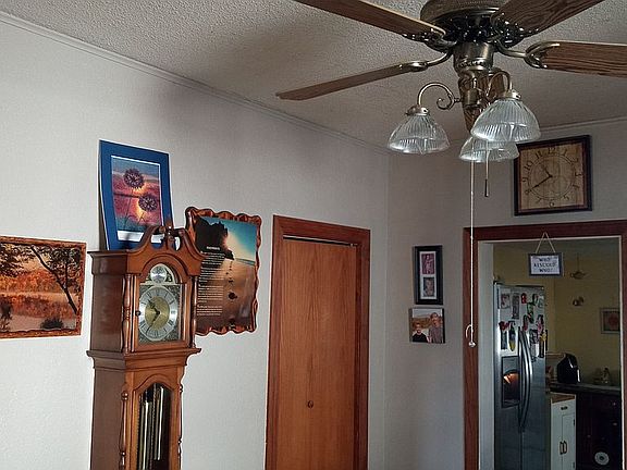 Dining room ceiling fan 