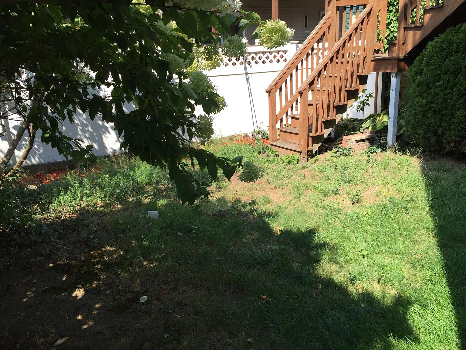 3 bed, $900 — Photo 4