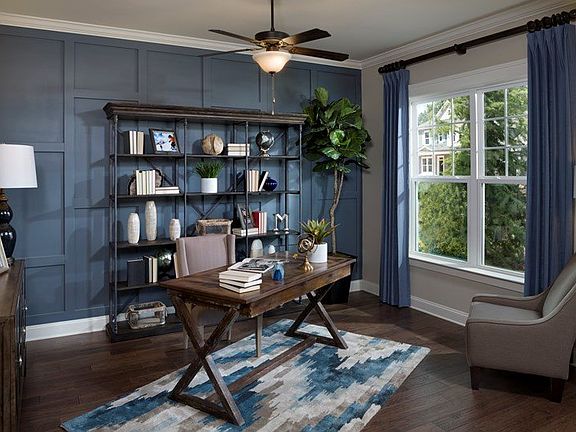 The Salvador - Study