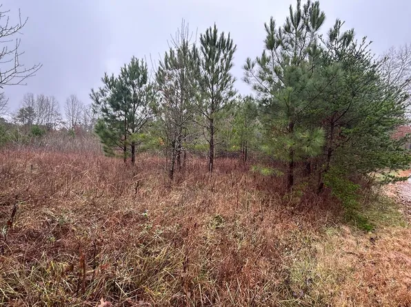 N/a Hitchin Post Dr, Jamestown, TN 38556