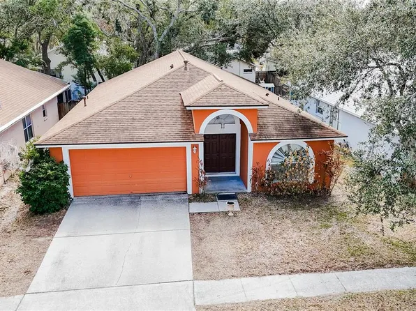 1103 Mallory Point Dr, Valrico, FL 33596