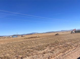 1000 Trout Rd, Fairplay, CO 80440