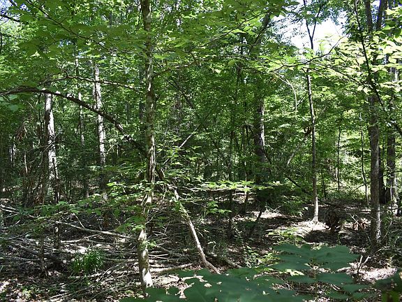 5th image of McGarrahan Rd