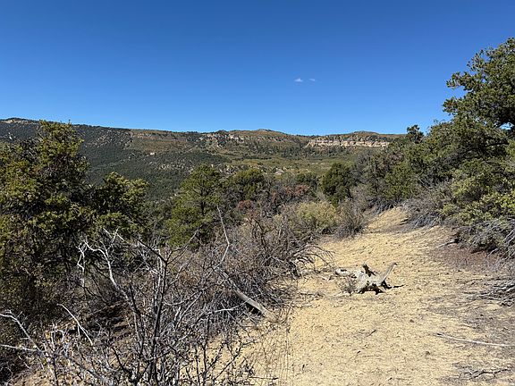 2nd image of 5 S Mineral Springs Rd