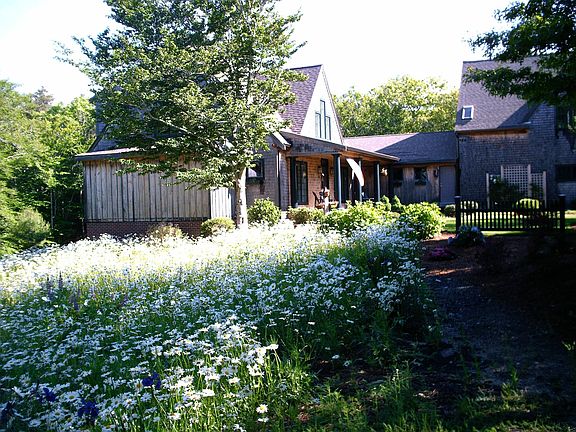 wildflower field from street