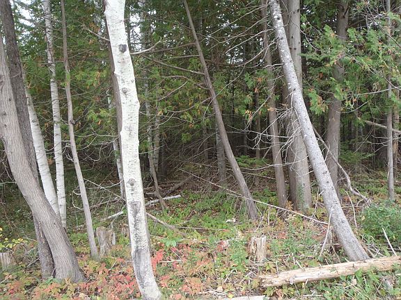 5th image of 638 Highway