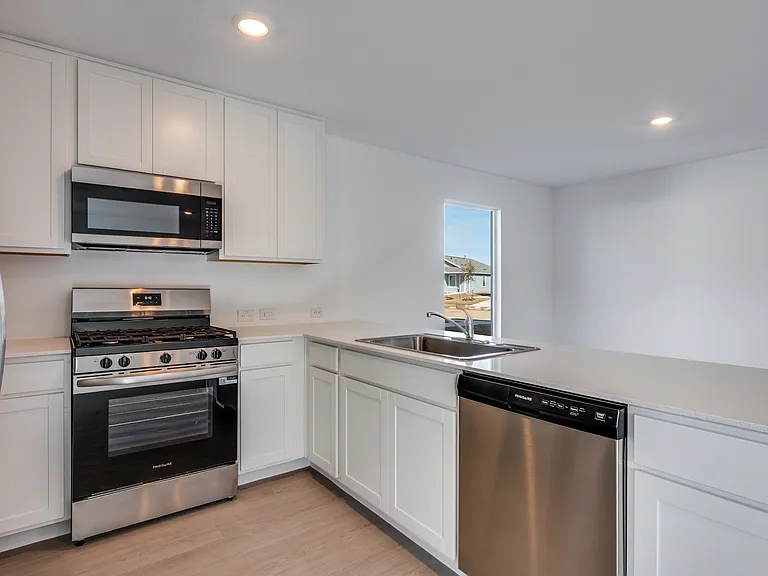 3145 Burmese St — Photo 8