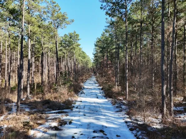 Long Lonesome Rd, Bastrop, LA 71220