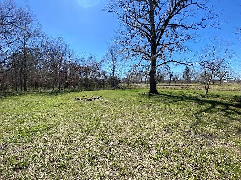 3 bed, 1.5 bath, 1000 sqft, $1,599 — Photo 4
