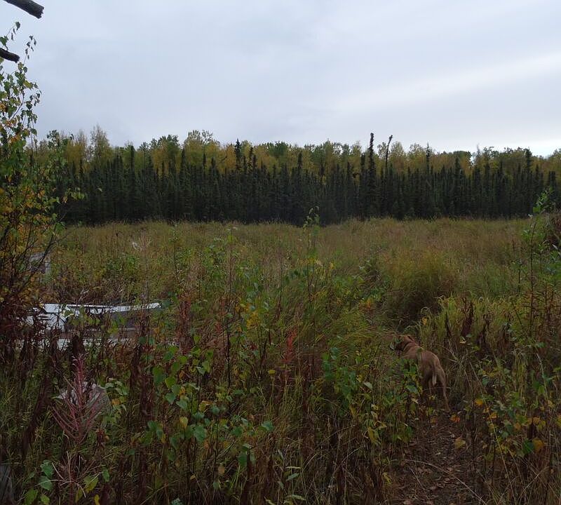 2nd image of 5.10 Acres Knik Goose Bay Rd. Point McKenzie