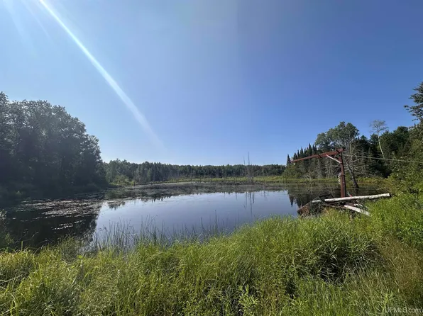 W6425 Leeman Rd, Sagola, MI 49881