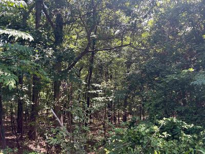 County Road 325, Wynne, AR, 72396