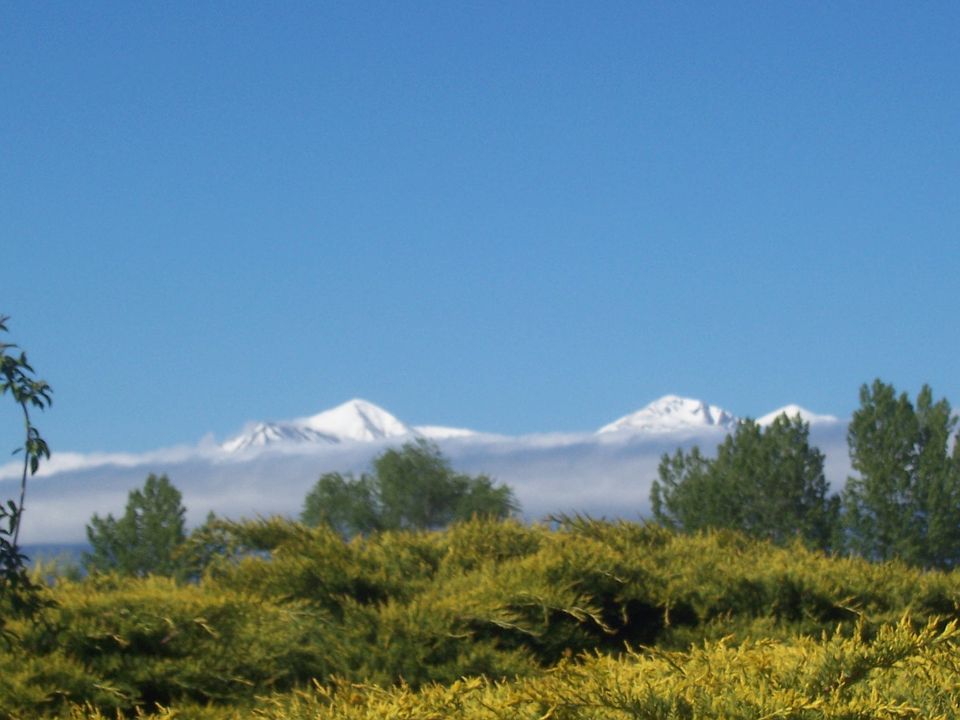 View from front window