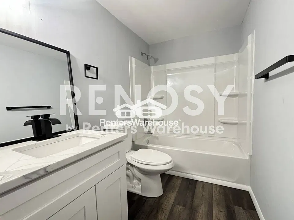 6585 Sweet Fern