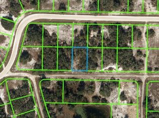 506 Morning Mist Ave, Lake Placid, FL 33852