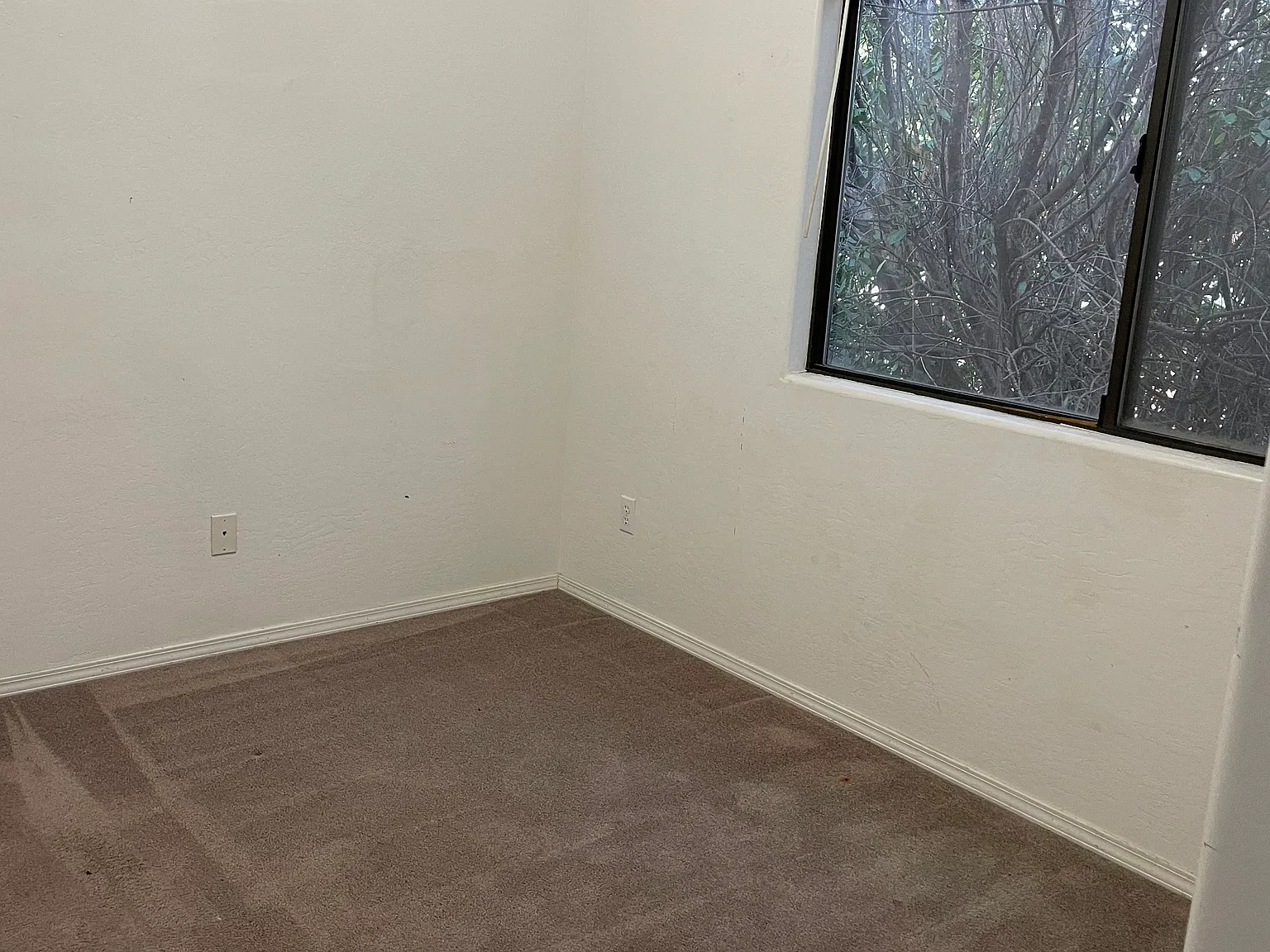 3 bed, 1217 sqft, $1,910 — Photo 2