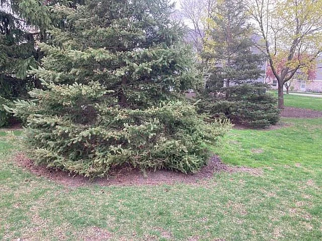 1041 Brunswick Hbr — Photo 20