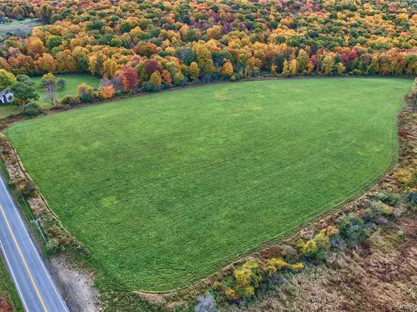 1830 BRUZGUL Road, Lagrangeville, NY 12540