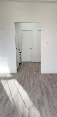 Rented by High Line NYC Realty Group | media 5