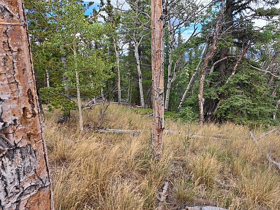 2nd image of 1844 High Creek Road