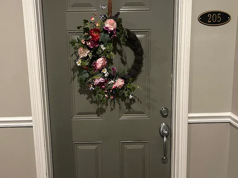Unit Entry door