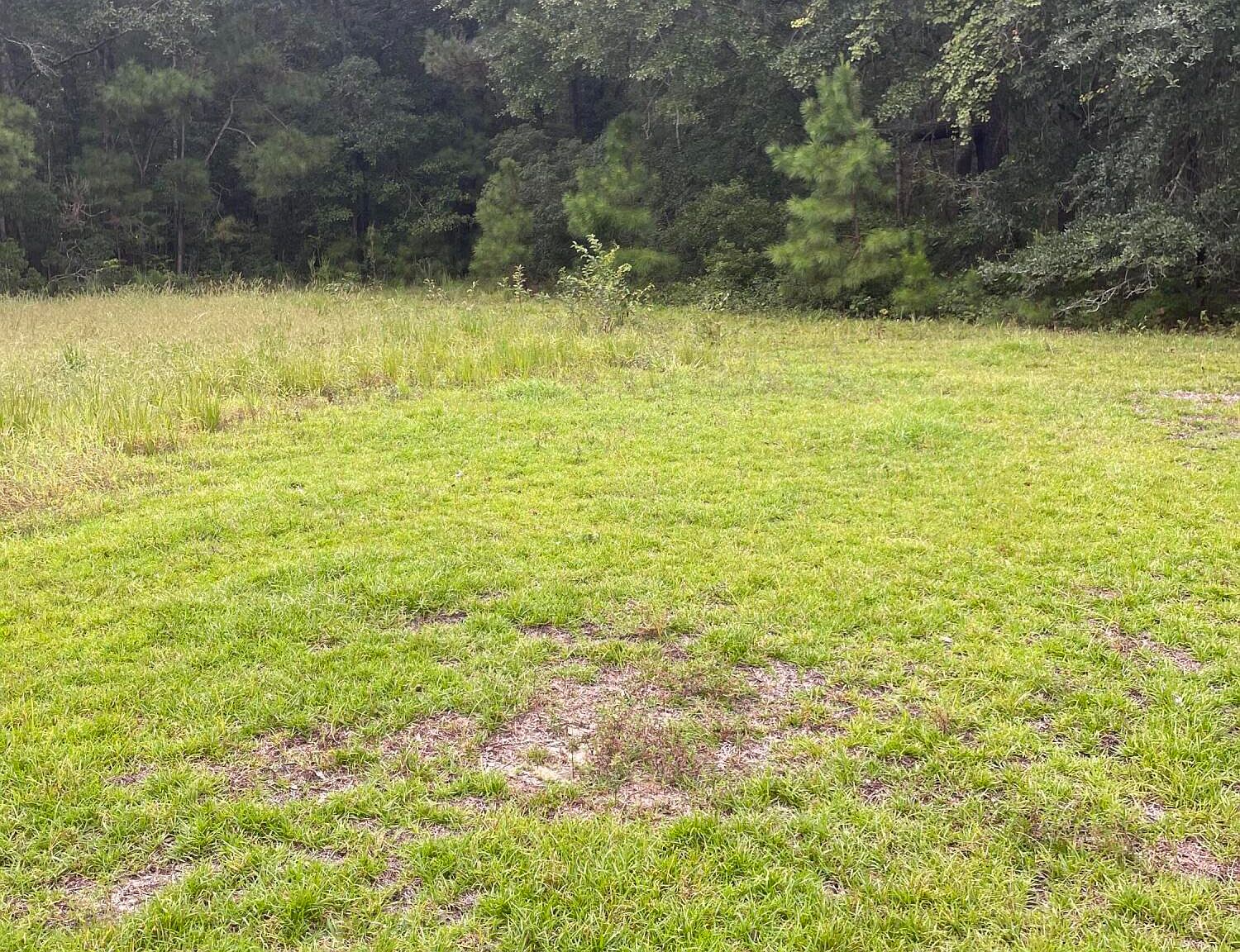5316 Seewee Rd, Awendaw, SC 29429 MLS 22029281 Zillow