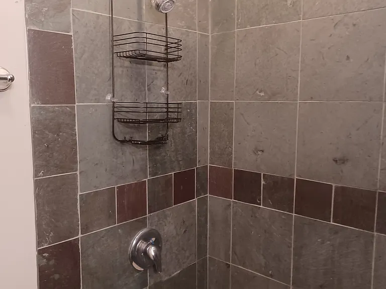 4137 Manchester Ave #1F — Photo 11