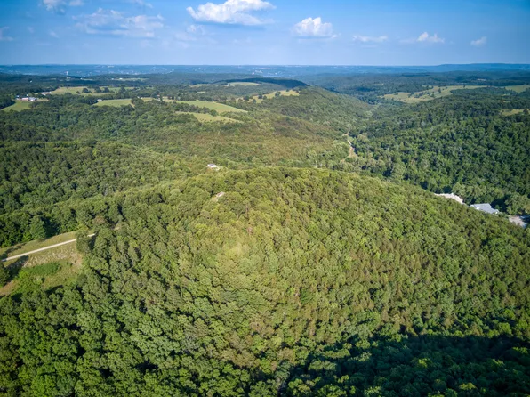 Lots 13-15 Clearview Drive, Blue Eye, MO 65611
