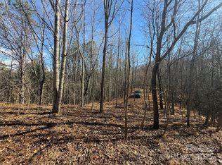 99999 Hendl Way, Leicester, NC 28748