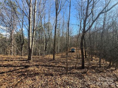 99999 Hendl Way, Leicester, NC, 28748
