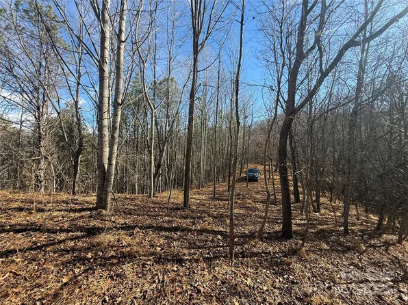 99999 Hendl Way, Leicester, NC 28748