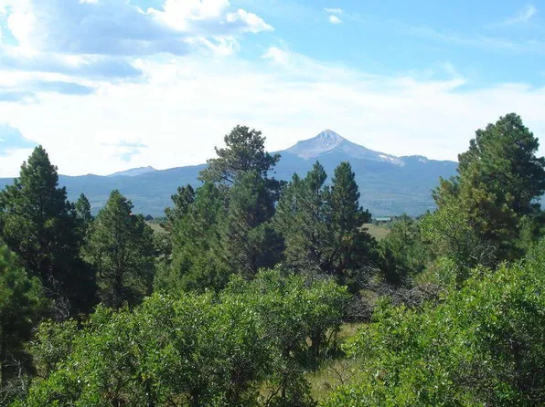 33 Gurley Lake Dr #33, Norwood, CO 81423