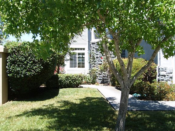 Front walkway + landscaping.