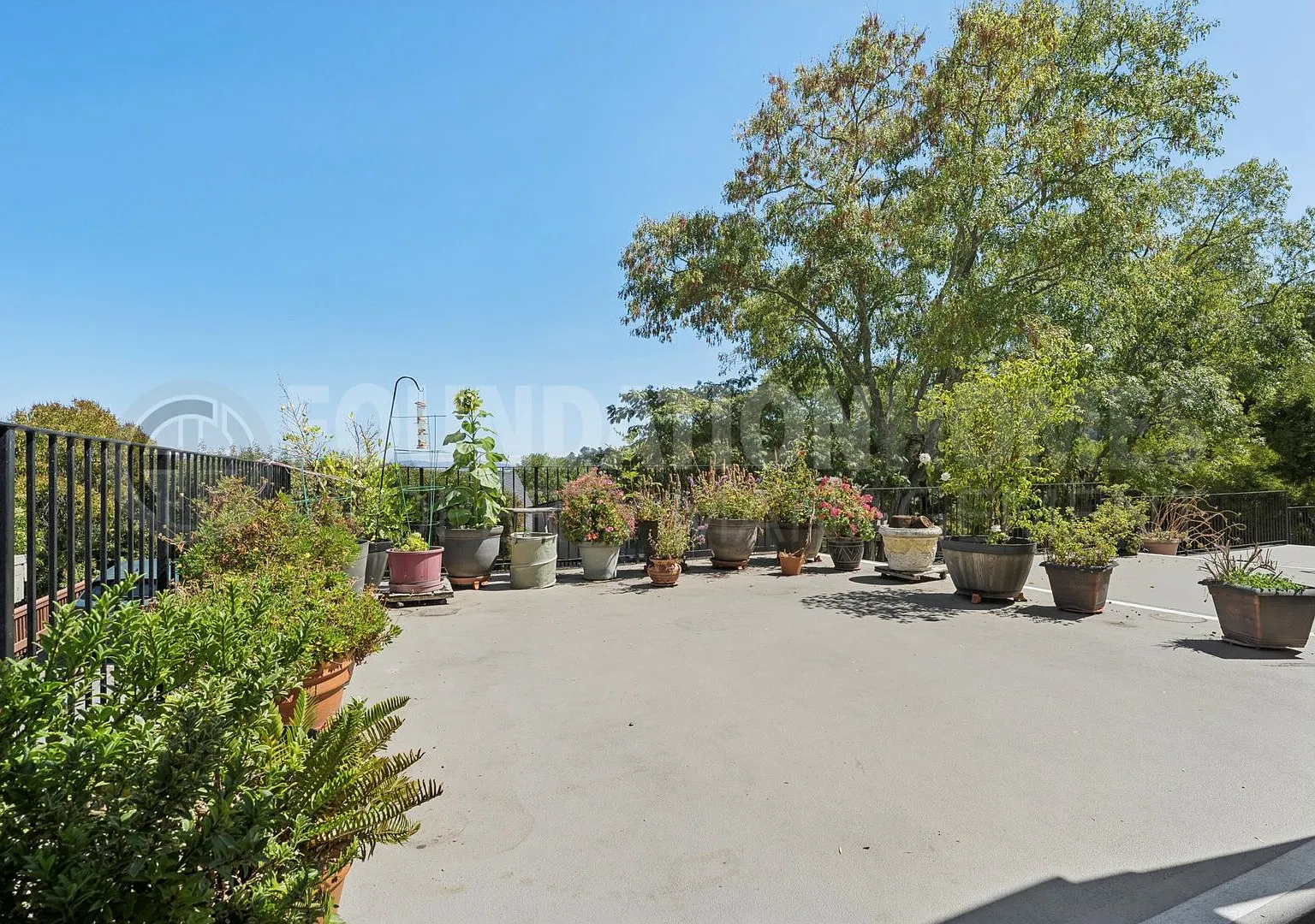 237 Picnic Ave — Photo 3