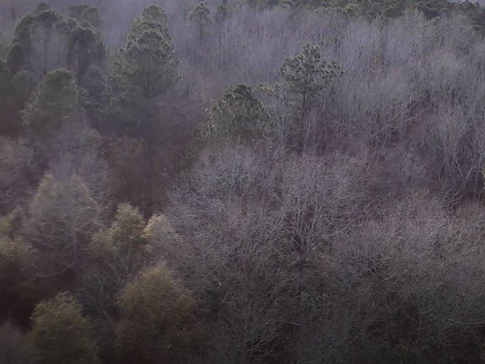 2nd image of 1 SW Jackson Rd