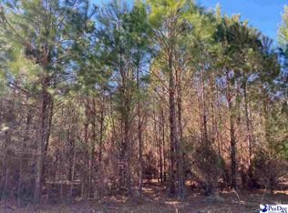 Hemingway Hwy, Hemingway, SC 29554