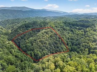 Earth Rd, Meadowview, VA 24361