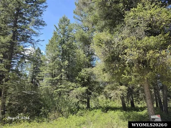 L-33 Spurwood Dr, Thayne, WY 83127