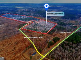 241 Foskey Cemetery Rd, Adrian, GA 31002